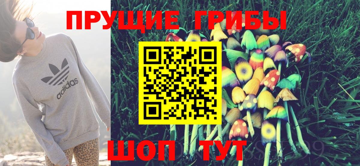 Галлюциногенные грибы MAGIC MUSHROOMS  наркошоп  Галлюциногенные грибы прущие грибы  Миллерово  Вход с VPN 